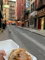Fried Dumplings